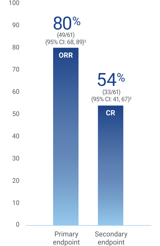 Graphic depicting response rates in Breyanzi PILOT trial