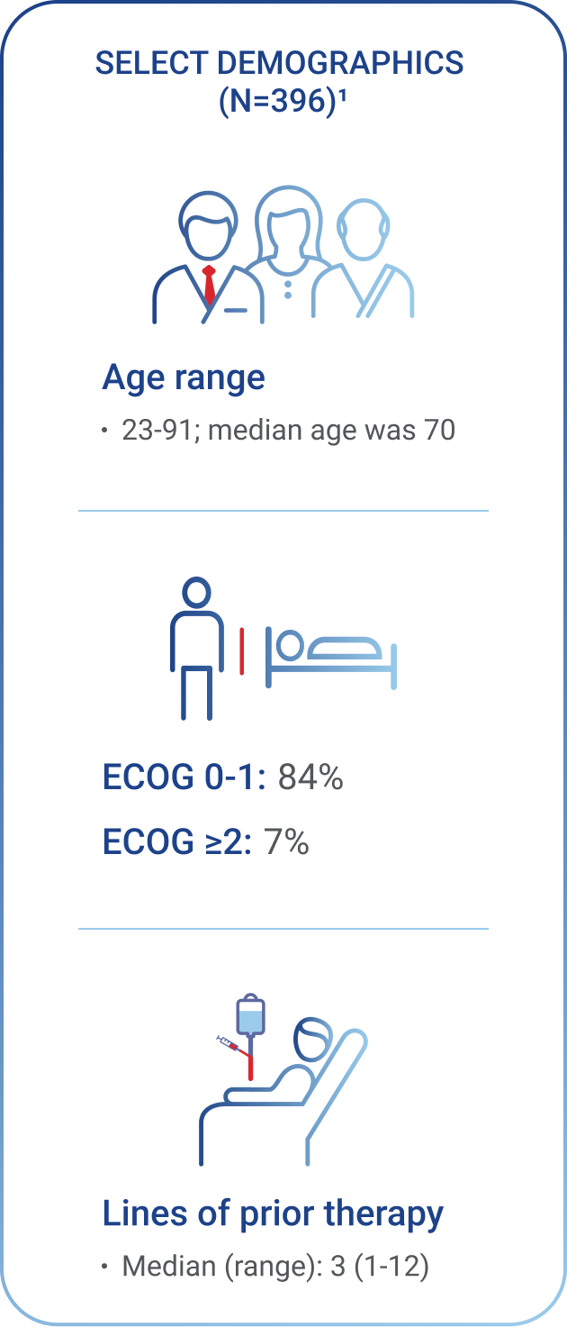 Demographics of R/R LBCL patients in CIBMTR registry